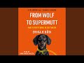 Chapter 19: Addressing Common Behaviour Problems.24 - From Wolf to Supermutt and Everything in...