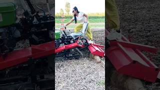 Micro tillage machine manufacturer Multifunctional rotary tiller #One machine can be used #shorts