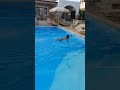 Swimming at Olympian Village, Greece