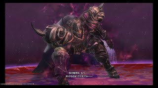 【FF14】6.4 極ゴルベーザ 戦士MT視点