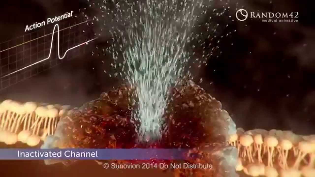 Epilepsy Youtube