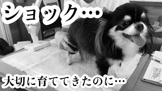 まだ2歳なのに、このままでは病気になると言われました…