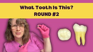 Practice Tooth ID Quiz 2 | Learn How to Identify a Tooth in 5 Steps \u0026 ACE Your Dental School Exams