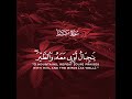 ولقد آتينا داوود منا فضلا يا جبال أوبي معه والطير وألنا له الحديد | سورة سبأ | القارئ ناصر القطامي