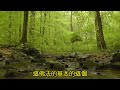 六祖禪寺 禪淋法雨 第383則 「閱讀經典生煩惱障」