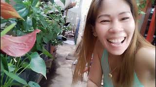 Buggy Wiggly Kissimissy