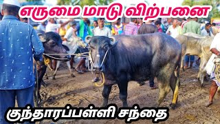 எருமை மாடு விற்பனை குந்தாரப்பள்ளி சந்தை // கிருஷ்ணகிரி // cow market kundarapalli