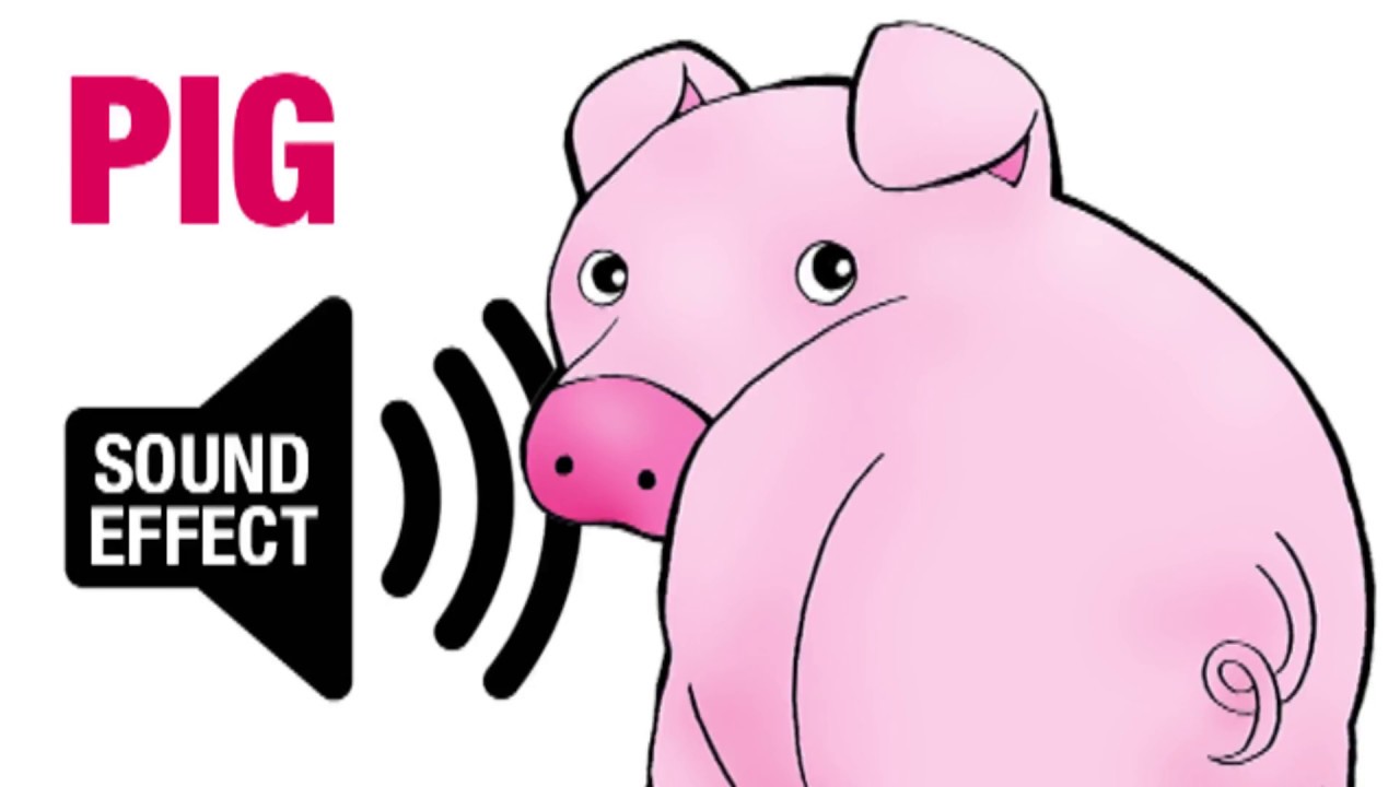 Oink oink oink oink
