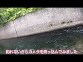 僕達のハッピーデイズ ～空知川水系～