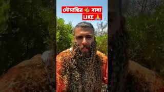 লোকটির শরীরে মৌমাছির বাসা | A bee 🐝 nest on the man's body #short #shorts #bee