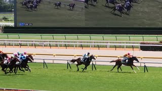 【現地】ノヴァエクスプレス メイクデビュー東京 2歳新馬戦