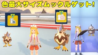 【雑談配信】色サイズポケモン厳選ジャアアアアアアアア！　ポケモンSV