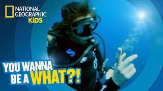 Jellyfish Whisperer | You Wanna Be a What?!
