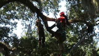 2024 ITCC - Savannah, GA - Daffin Park, James Kilpatrick Aerial Rescue