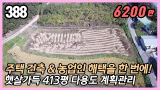 (공주시 탄천면 남산리) 🚗 2차선 도로 인근! ✨ 남향 햇살 가득 토지 🏡 주택 건축 OK!  창고 주말농장 농막 체류형쉼터  다용도 / 413평 계획관리 / 스마트부동산