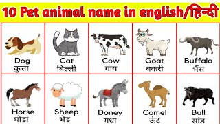 पालतू जानवरों के नाम हिंदी और इंग्लिश में ||  all pet animals name Hindi and English