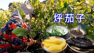 【胖嫂show】胖嫂摘茄子卖，别看这些茄子“丑”，烀了拌酱，谁不得吃两碗？