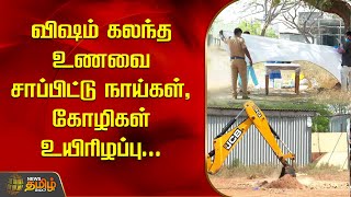 விஷம் கலந்த உணவை சாப்பிட்டு நாய்கள், கோழிகள் உயிரிழப்பு | Tiruppur | newstamil24x7