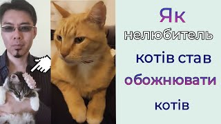 Як нелюбитель котів став обожнювати котів #коти #Україна #Японія #ukrainian