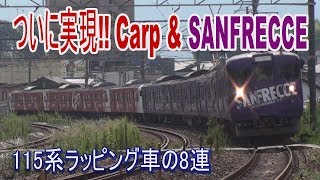 【走行動画】ついに連結！115系ラッピング車 Carp \u0026 SANRECCE