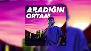 Tuna İpek - Aradığın Ortam