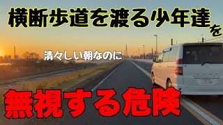 そこで追い越し（追い抜き?）ていいの？横断歩道に人は？見ないの？何キロ走行？【Japan's dangerous driving reality channel】ダンプには突っ込まないの？