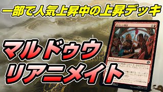 【MTGアリーナ アルケミー】予選ウィークエンドに向けマルドゥウリアニメイトの最終調整をする配信