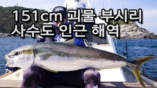 2021 07 29 사수도 151cm 대부시리 랜딩영상   지깅파핑캐스팅 [그램퍼스]