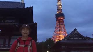 [東京旅遊篇]夜遊增上寺Zojoji Temple、東京鐵塔「東京之春的風情詩」Tokyo Tower 「Tokyo's springtime tradition」May-2018 trip