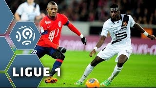 LOSC Lille - Stade Rennais FC (1-1) - 24/01/14 - (LOSC-SRFC) -Highlights