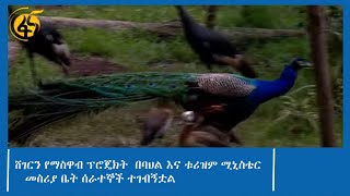 ሸገርን የማስዋብ ፕሮጄክት  በባህል እና ቱሪዝም ሚኒስቴር መስሪያ ቤት ሰራተኞች ተገብኝቷል