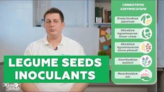 Legume seeds inoculants - how are nodules formed? | SIMPLY ABOUT MICROBES | Episode 10