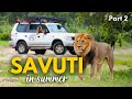 Unbelievable Summer Safari in Savuti | Chobe National Park, Botswana