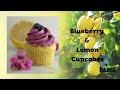 burst botanicals blueberry u0026 lemon cupcakes