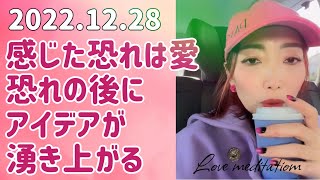 パールちゃん 2022.12.28 感じた恐れは愛　恐れの後にアイデアが湧き上がる