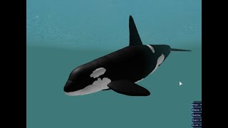 Wild Ocean Roblox - wild forest roblox