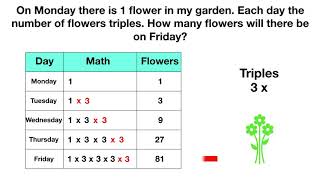 Prime Factorization Patterns