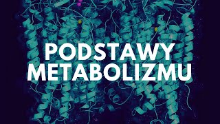 Podstawy metabolizmu | Korepetycje z biologii