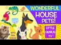 House Pets! | videos for babies, toddlers, kids | Little Genius TV™