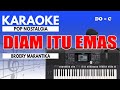 Karaoke - Tak Selamanya Diam Itu Emas // Broery Marantika ( Nada Pria )