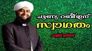 പുണ്യ റബീഇന് സ്വാഗതം | ഫാളിലി ഉസ്താദ് | falili usthad song rahmathul lil aalameen #mskpmedia