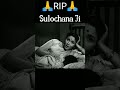 Tribute To Sulochana Ji l Nanhi Kali Sone Chali.. l #shorts #ytshorts l @AyezaOfficial