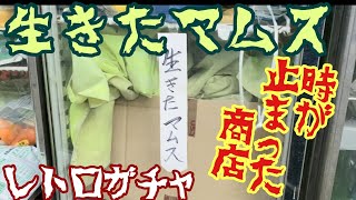 暗号か?【生きたマムス】田舎に昭和そのまんまの酒店でレトロガチャを楽しむ