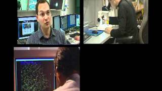 Macromolecular and Micro Crystallography at the Australian Synchrotron (2010)