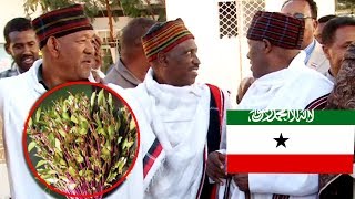 Wefti ka socda Oromia oo sheegay Dhaqaalaha Kasoo gala Somaliland