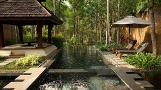 Four seasons in Chiangmai Thailand Лучшее размещение в Чангмай Таиланд ⭐️