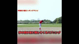 動画撮影中に発生したハプニング #shorts #野球