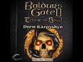 The Baldur's Gate Trilogy - Book III