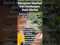 Manfaat Buah Murbei Dan Kandungan Nutrisi #shorts