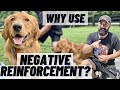 WHY Train With NEGATIVE REINFORCEMENT? SIMPLE Breakdown & Demo!